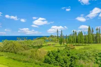 Come to Maui-  Beautiful 2BD/3BA  OceanView Kapalua Ridge Villa - 3-نجوم