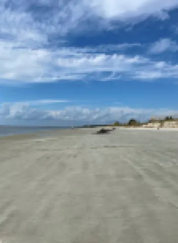 Walk to Waterfront Dining, Shops, Wine Bar. 2 Miles from I-95. No Pet Fee!