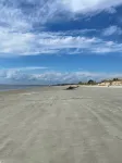 Walk to Waterfront Dining, Shops, Wine Bar. 2 Miles from I-95. No Pet Fee!