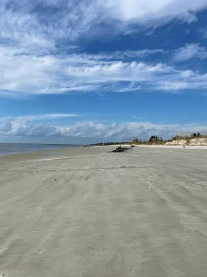 Walk to Waterfront Dining, Shops, Wine Bar. 2 Miles from I-95. No Pet Fee! Hotels in Darien