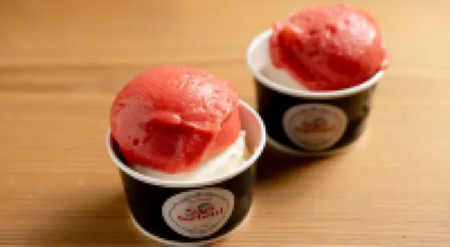 Shuzenji Tokinosumika Hotel Olive No Ki