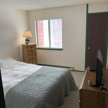 Great True Ski-in/Ski-Out condo next to Giant Steps Lodge and Tubing Hill.