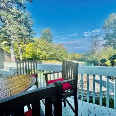 Just minutes from Beech Mtn Ski Resort /Townhome /Fire Pit & Fireplace / Pets OK