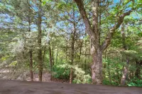 巴爾德諾布嶺逃逸 - 西布蘭森小屋！