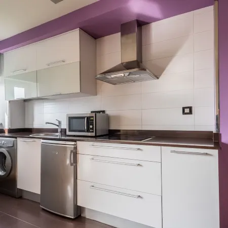Apartamentos Spa Villa Pasiega