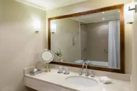 Sheraton Buenos Aires Hotel & Convention Center - Kitchens