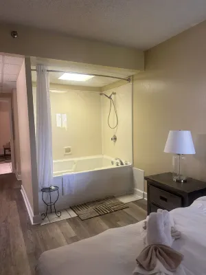 Little Pigeon River 309 1Bd Condo with River View Private Balcony by RedAwning