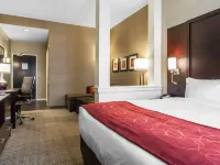 Comfort Suites-Youngstown North Hotels in Trumbull County