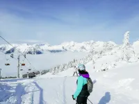 Koča Zlatorog - Velika Planina Hotels in Mozirje