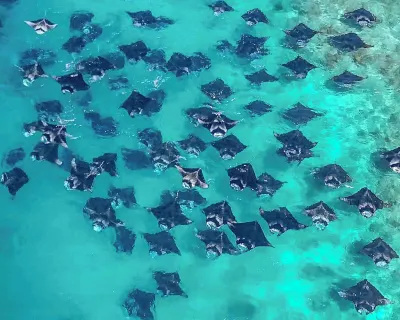 タートルインダラヴァンディ のホテル