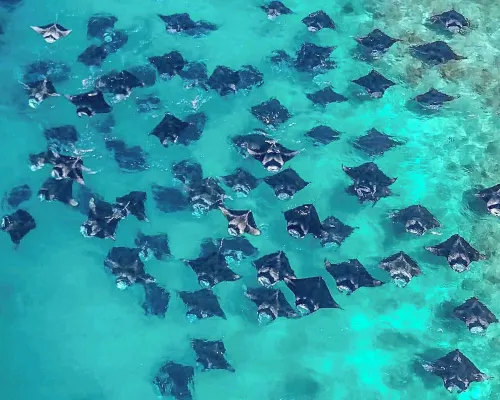 Turtle Inn Dharavandhoo Hotel a Dharavandhoo