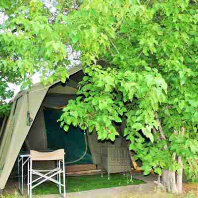 Hippo Island Okavango Delta Hotel Exterior