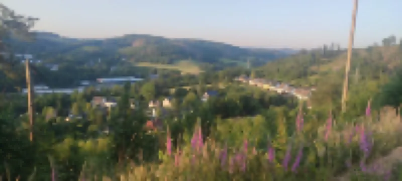 Ferienwohnung am See im Bergischen Land