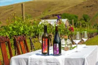 Moonrise Suite in a Vineyard + Winery!