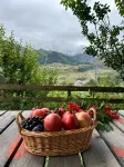 Hotel Axien Kazbegi Отели в г. 