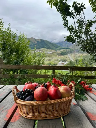 Hotel Axien Kazbegi Отели в г. Степанцминда