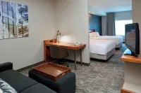 SpringHill Suites Frankenmuth Hotels in Frankenmuth
