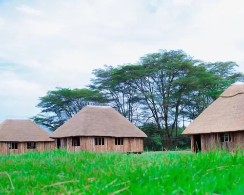 Forever Eco Resort Hotels in Busiro