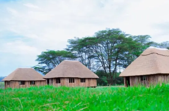 Forever Eco Resort