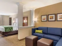 Comfort Inn & Suites Schenectady - Scotia Hotels in Schenectady County