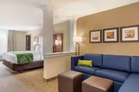 Comfort Inn & Suites Schenectady - Scotia Hotels in Schenectady