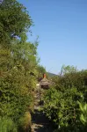 Clyde View Bed & Breakfast Hotels in Dunoon