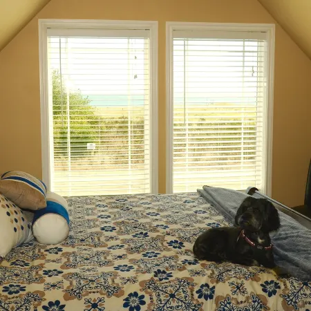 The Collins Inn and Seaside Cottages - Adults Only