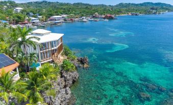 Wow! Views and More, Fantastic 2 Bedroom in West End - Villa Agua Apts