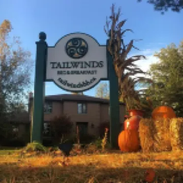 Tailwinds B&B