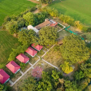 Greetoe Camp Panna