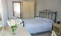 La Vigna Vecchia