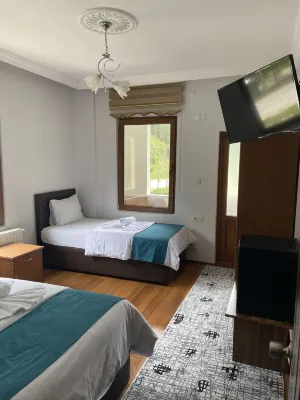 Uzungol Soylu Hotel - Bintang 2