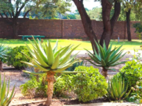 Zororo Lodge Hotels in Central