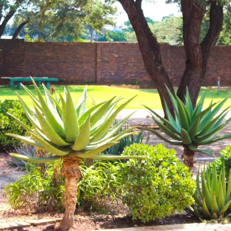 Zororo Lodge