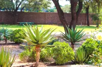 Zororo Lodge Hotels near Phela Bush Adventure