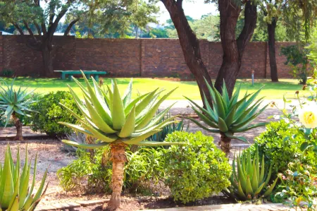 Zororo Lodge Отели в г. Polokwane Local Municipality