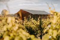 Villas & Vines Glamping Hotels in Clive