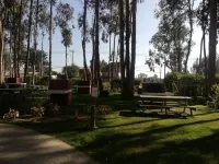 Espacioso Depto en Costa阿爾加羅博