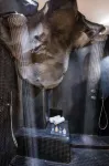 Athina Luxury Suites - Hot Springs