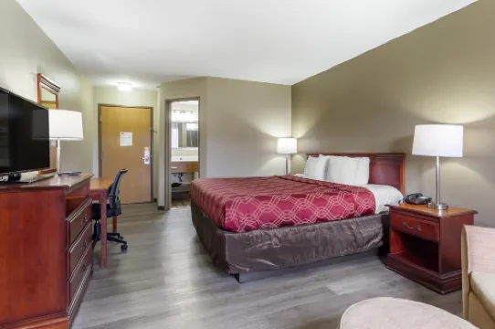 이코노 로지 인 & 스위트