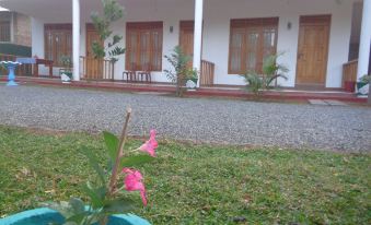Jungle View Guest