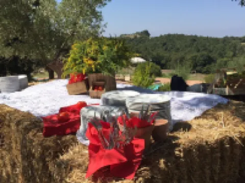 زامبوجنا فنادق في ترکواندا
