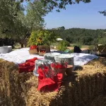 Zampugna Hotels in Torrita di Siena