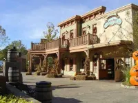 The Stone Crest Villa - Near Stone Mountain Park