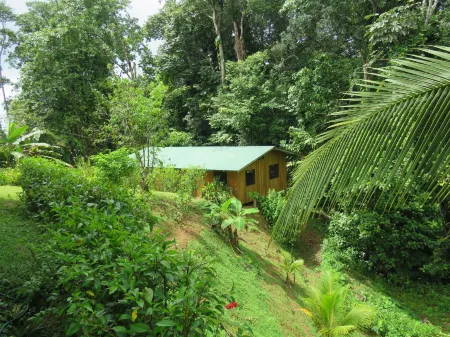 Cabañas Bajo Bosque Drake