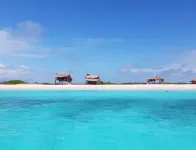 阿瑪麗亞別墅酒店