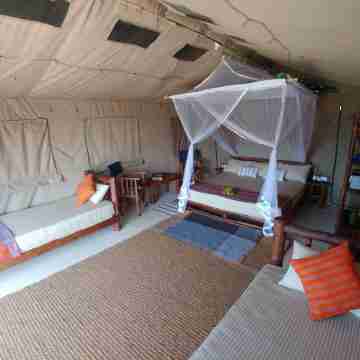 Back of Beyond Dune Camp Yala Rooms