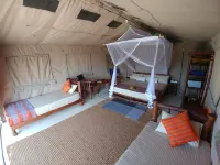 Back of Beyond Dune Camp Yala Hotels in Palatupana