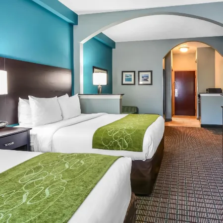 Comfort Suites Tampa - Brandon