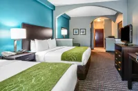 Comfort Suites Tampa - Brandon Hotels in Palm River-Clair Mel
